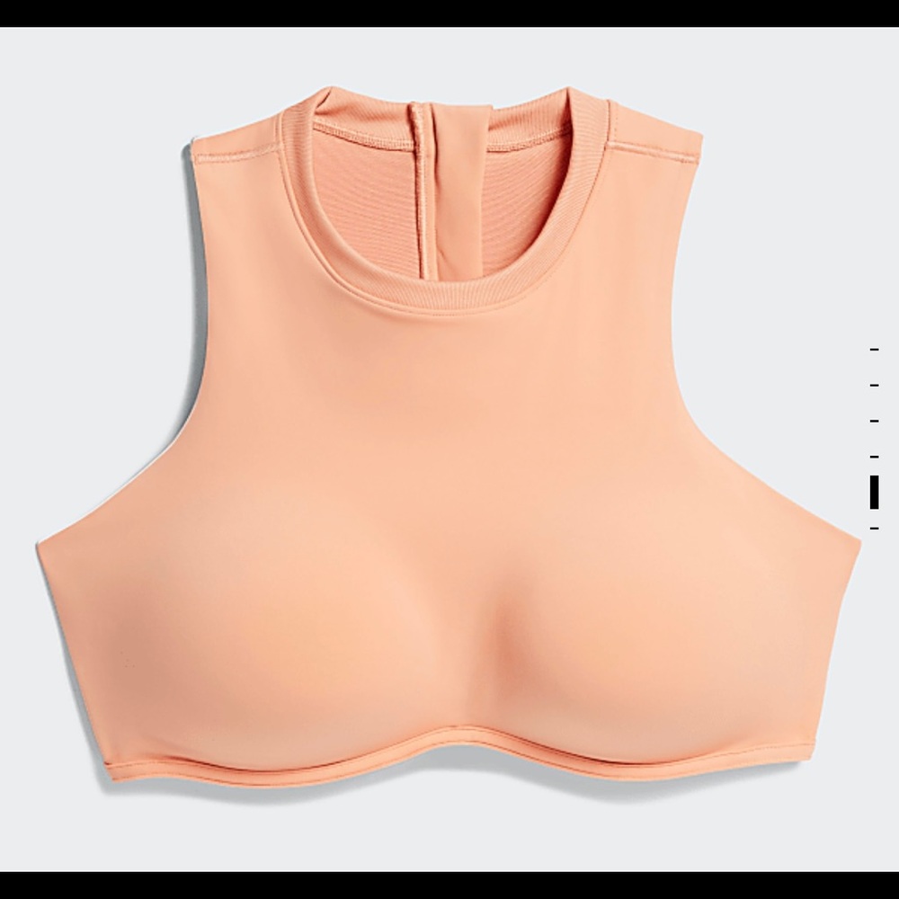 SOLD!! NWT 2X Ivy Park Mesh Crop Top